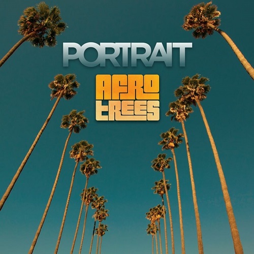 PORTRAIT / ポートレイト / AFRO TREES(LP)