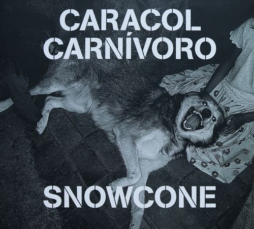 CARACOL CARNIVORO / Snowcone