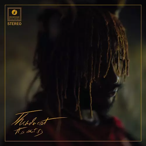 THUNDERCAT / サンダーキャット / It Is What It Is "CD"
