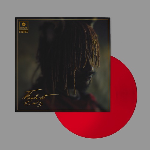 THUNDERCAT / サンダーキャット / It Is What It Is "LP+DL" (RED COLOR VINYL)