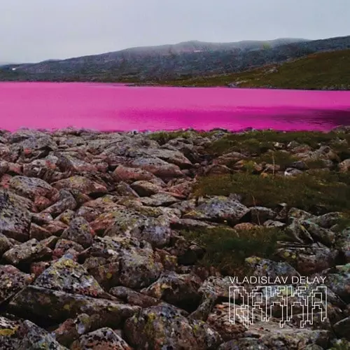 VLADISLAV DELAY / ヴラディスラフ・ディレイ / RAKKA