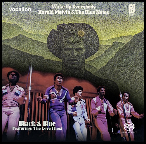 HAROLD MELVIN & THE BLUE NOTES / ハロルド・メルヴィン&ザ・ブルー・ノーツ / BLACK AND BLUE & WAKE UP EVERYBODY(2in1)