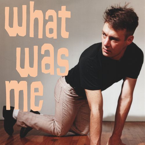CALVIN JOHNSON / キャルヴィン・ジョンソン / WHAT WAS ME (LP)