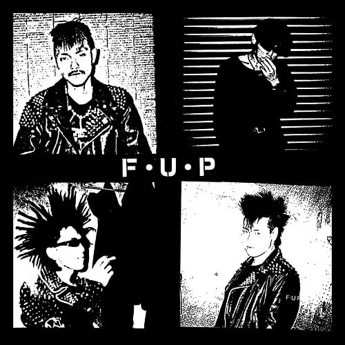 F.U.P / noise and chaos (LP)