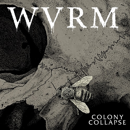 WVRM / COLONY COLLAPSE (LP/SPLATTER VINYL)