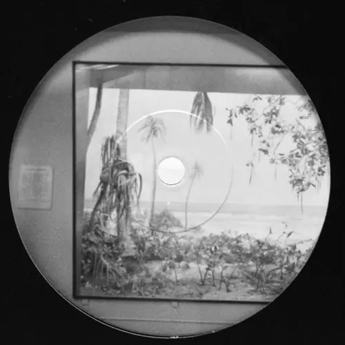 NIKOLAIENKO MEETS ARTHUR MINE  / NOSTALGIA POR MESOZOICA
