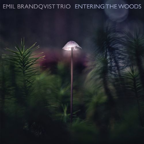 EMIL BRANDQVIST / エミル・ブランクヴィスト / Entering The Woods(LP)