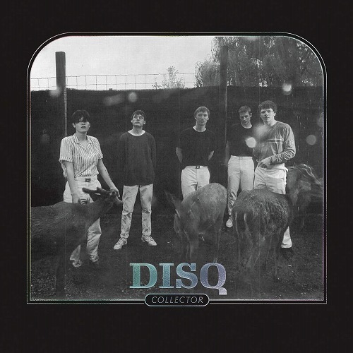 DISQ / ディスク / COLLECTOR