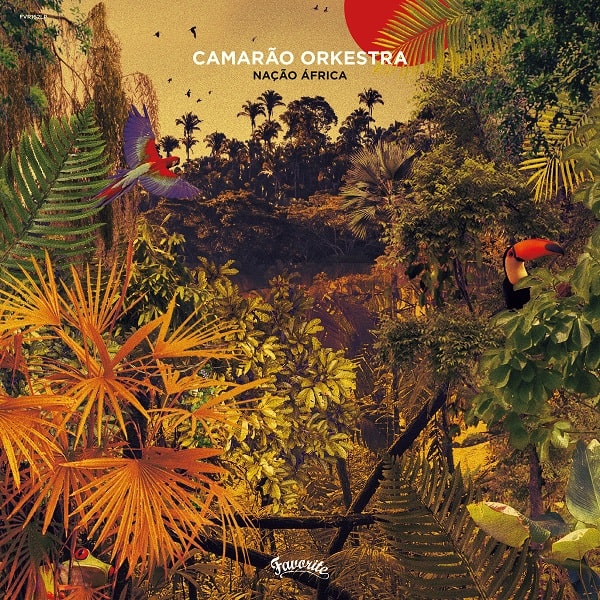 CAMARAO ORKESTRA / カマラォン・オルケストラ / NACAO AFRICA