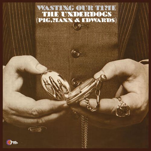 THE UNDERDOGS / WASTING OUR TIME (LP)