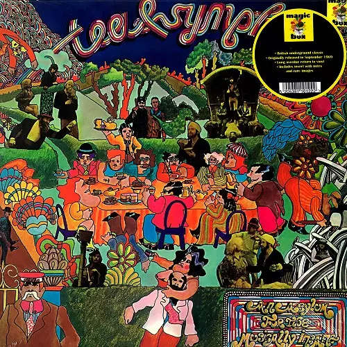 TEA & SYMPHONY / ティー&シンフォニー / AN ASYLUM FOR THE MUSICALLY INSANE - LIMITED VINYL