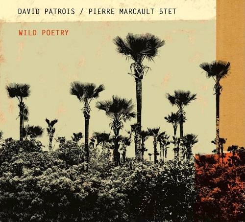DAVID PATROIS / Wild Poetry