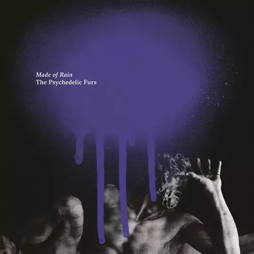 レコード サイケデリックファーズ THE PSYCHEDELIC FURS / THE PSYCHEDELIC FURS 【LP】 UK盤