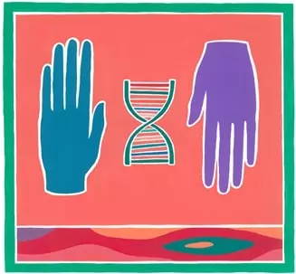 NUMA GAMA / ヌマ・ガマ / Me Redesenho