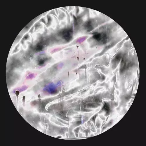 EXAEL & ARAD ACID / FURI