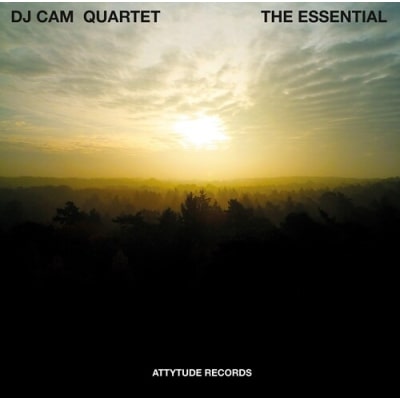DJ CAM QUARTET / DJカム・カルテット / ESSENTIAL (GREEN VINYL)
