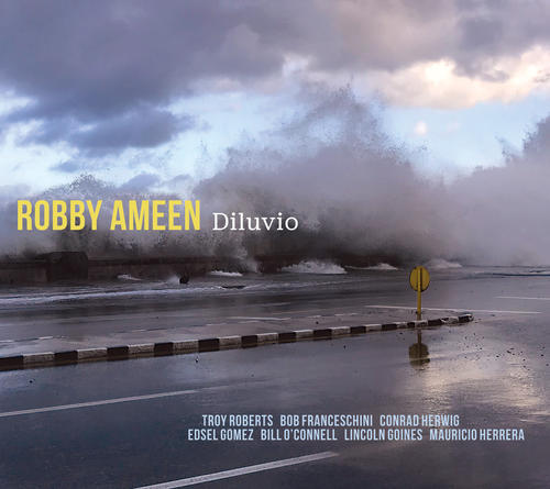 ROBBY AMEEN / ロビー・アミーン / DILUVIO