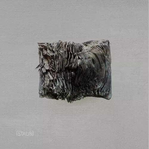 UNKNOWN ARTIST / STAUB 005
