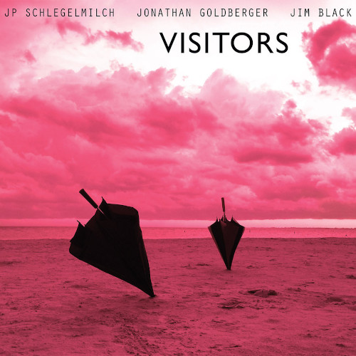 JP SCHLEGELMILCH & JONATHAN GOLDBERGER & JIM BLACK / Visitors(LP)