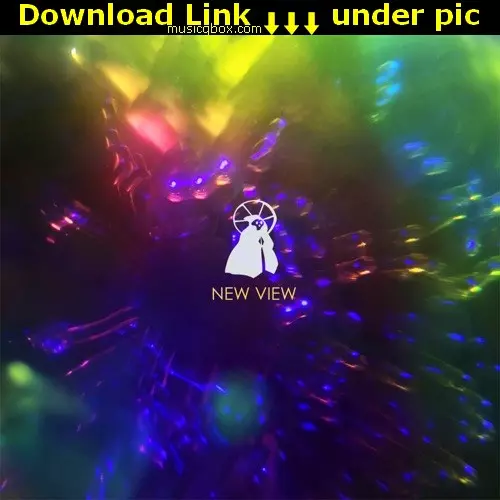THIEF CLUB / シーフ・クラブ / New View