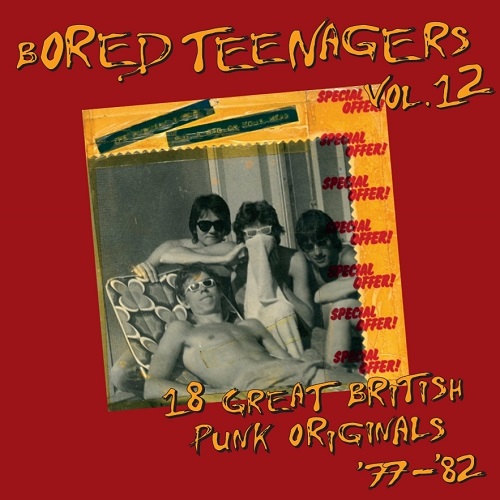 VA (BIN LINER RECORDS) / BORED TEENAGERS VOL.12 (LP)