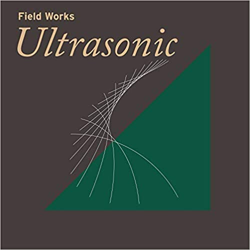 FIELD WORKS / ULTRASONIC