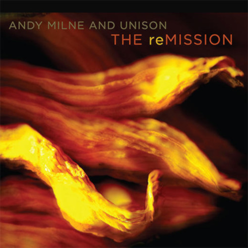 Remission Andy Milne アンディ ミルン 詩的なピアノの旋律が前面に押し出された傑作 Jazz ディスクユニオン オンラインショップ Diskunion Net Remission Andy Milne アンディ ミルン 詩的なピアノの旋律が前面に押し出された傑作 Jazz ディスクユニオン オンラインショップ Diskunion Net
