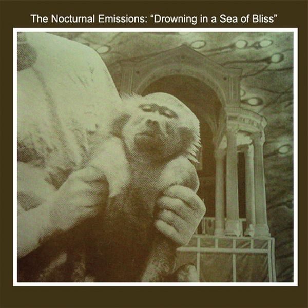 NOCTURNAL EMISSIONS / ノクターナル・エミッションズ / DROWNING IN A SEA OF BLISS