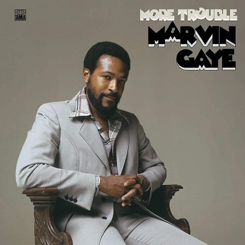 MARVIN GAYE / マーヴィン・ゲイ / MORE TROUBLE(LP)