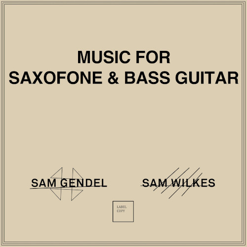 Music For Saxofone & Bass Guitar(LP)/SAM GENDEL & SAM WILKES/サム 