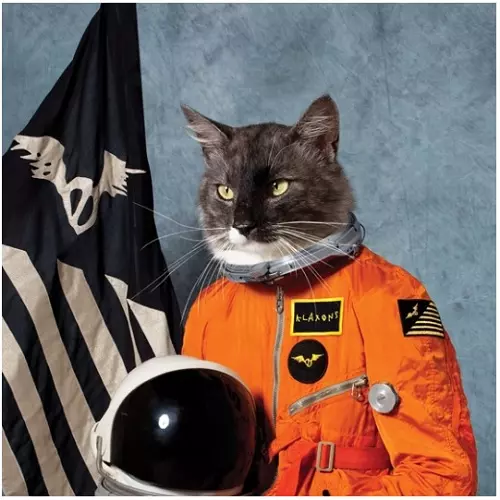 KLAXONS / クラクソンズ / SURFING THE VOID (ORANGE VINYL)