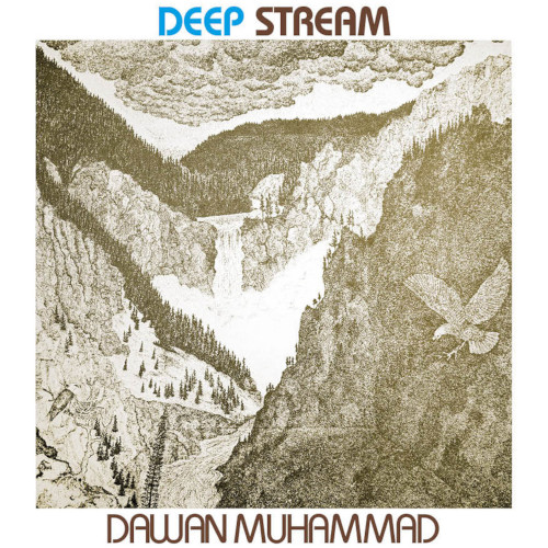 DAWAN MUHAMMAD / ダーワン・ムハンマド / Deep Stream(LP)