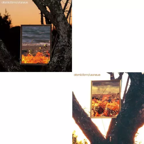 atomicfarm / アトミックファーム / utaneue + usoneue 特典付2タイトルまとめ買いセット