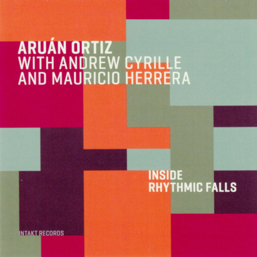 ARUAN ORTIZ / アルアン・オルティス / Inside Rhythmic Falls