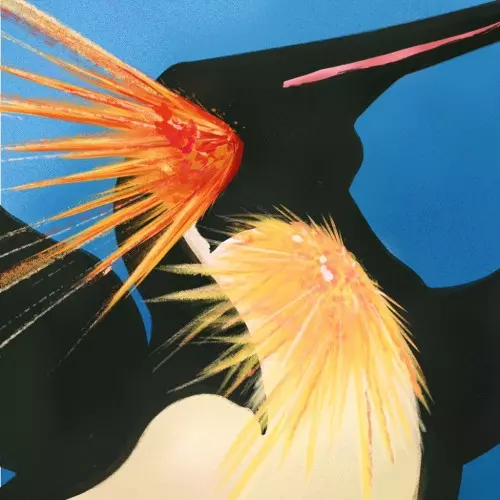 South Penguin商品一覧｜ディスクユニオン・オンラインショップ