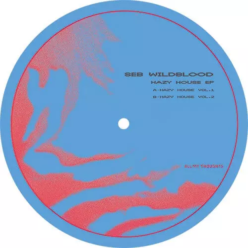SEB WILDBLOOD / セブ・ワイルドブラッド / HAZY HOUSE EP