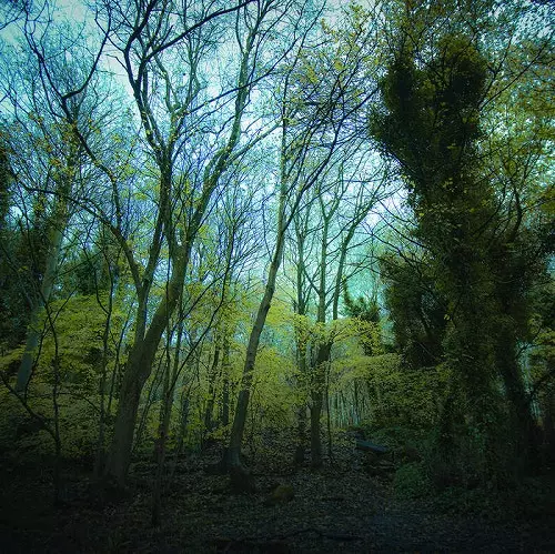 WORRIEDABOUTSATAN / TIME LAPSE (FOREST GREEN VINYL) 