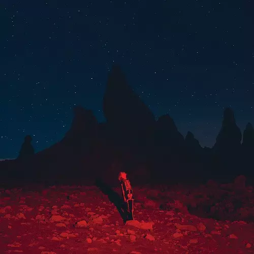PHOEBE BRIDGERS / フィービー・ブリジャーズ / PUNISHER (RED SWIRLY VINYL)