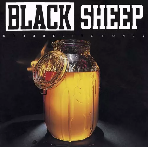BLACK SHEEP / ブラック・シープ商品一覧｜HIPHOP / 日本語RAP