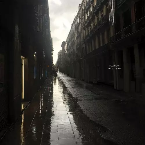 FLUXION / フラクション / PERSPECTIVES (2LP)