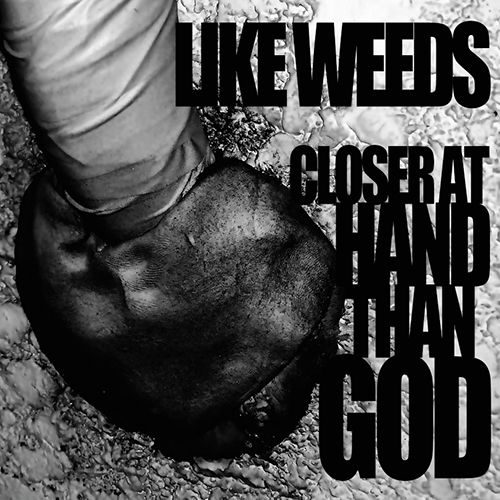 LIKE WEEDS / ライク・ウィーズ / CLOSER AT HAND THAN GOD / クローサー・アット・ハンド・ザン・ゴッド