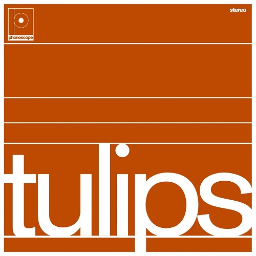 MASTON / TULIPS(LP)