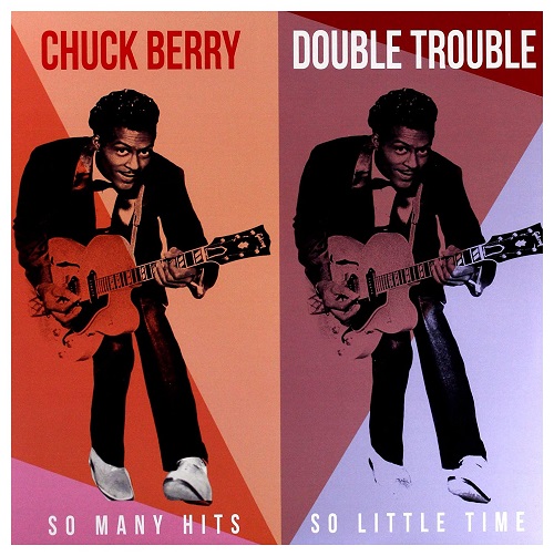 CHUCK BERRY / チャック・ベリー / DOUBLE TROUBLE - SO MANY HITS SO LITTLE TIME 1955-1962(LP)