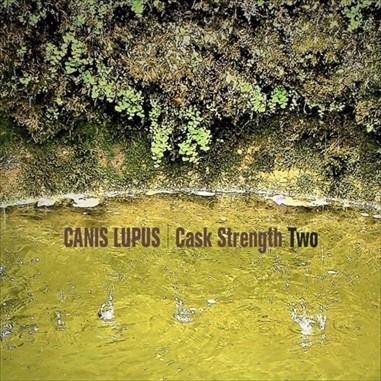 CANIS LUPUS / Cask Strength 2 Takamatsu Club House 1989