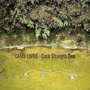 Canis Lupus 北村昌士 LIVE/SESSION CD12枚セット - メルカリ
