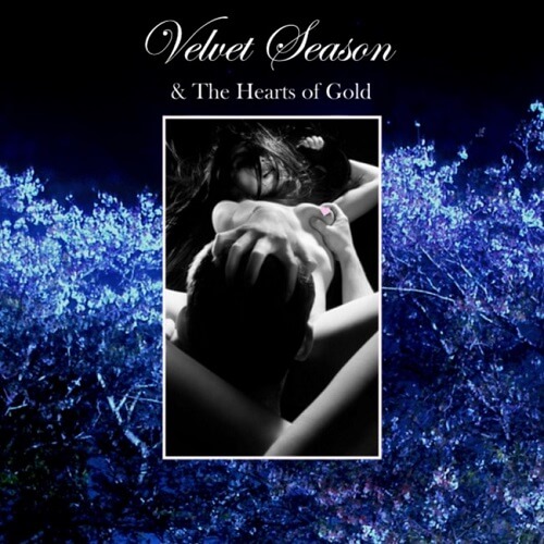 VELVET SEASON & THE HEARTS OF GOLD / VOICES / HAVING FUN