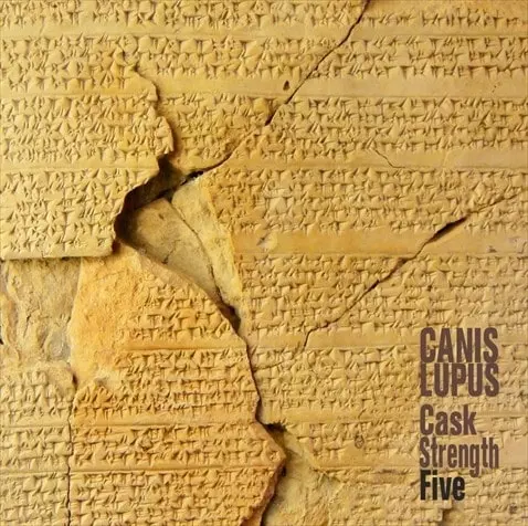 CANIS LUPUSとYBO²の完全未発表ライヴ音源が“トランスレコーズ