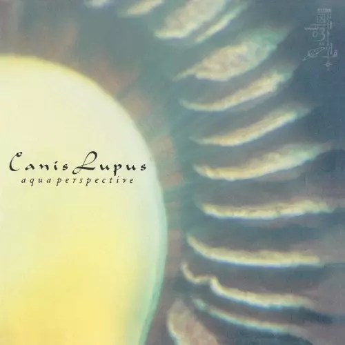 CANIS LUPUSとYBO²の完全未発表ライヴ音源が“トランスレコーズ