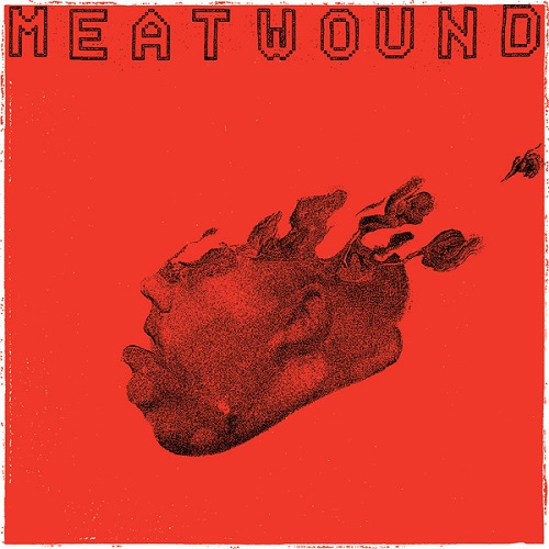MEATWOUND / ADDIO (LP)
