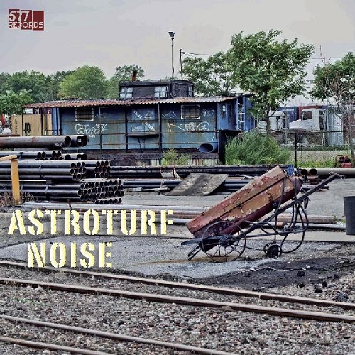ASTROTURF NOISE / ASTROTURF NOISE (LP)